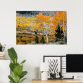 Utah, VS. Espenbomen en wilgenstruwelen Poster (Thuiskantoor)