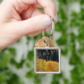 Utah. VS. Espenbomen in de herfst op de Sevier Sleutelhanger (Hand)