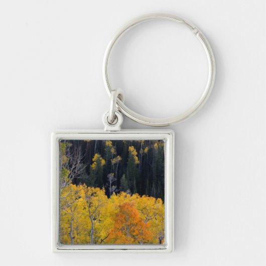 Utah. VS. Espenbomen in de herfst op de Sevier Sleutelhanger (Voorkant)
