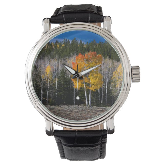 Utah, VS. Espenbomen (Populus Tremuloides) 2 Horloge (Voorkant)