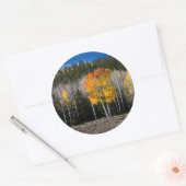 Utah, VS. Espenbomen (Populus Tremuloides) 2 Ronde Sticker (Envelop)
