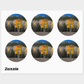 Utah, VS. Espenbomen (Populus Tremuloides) 2 Ronde Sticker (Vel)