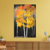 Utah, VS. Espenbomen (Populus Tremuloides) 3 Canvas Afdruk (Insitu (Woonkamer))