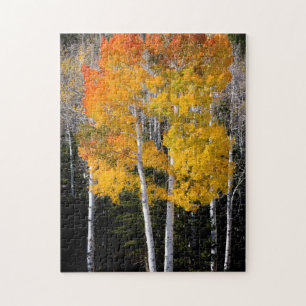 Utah, VS. Espenbomen (Populus Tremuloides) 3 Legpuzzel