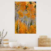 Utah, VS. Espenbomen (Populus Tremuloides) 4 Poster (Keuken)