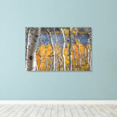 Utah, VS. Espenbomen (Populus Tremuloides) Canvas Afdruk (Insitu (Houten vloer))