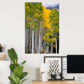 Utah. VS. Espenbomen (Populus Tremuloides) Poster (Thuiskantoor)