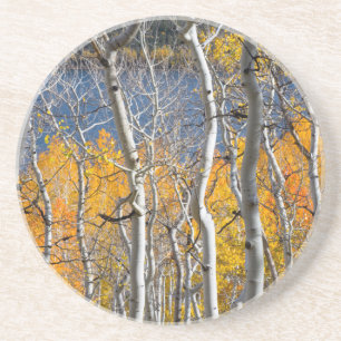 Utah, VS. Espenbomen (Populus Tremuloides) Zandsteen Onderzetter