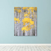 UTAH. VS. Espenbos (Populus tremuloides) in Canvas Afdruk (Insitu (Houten vloer))