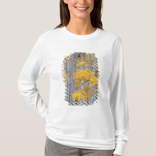 UTAH. VS. Espenbos (Populus tremuloides) in T-shirt (Voorkant)