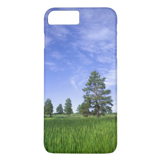 UTAH. VS. Grove ponderosabomen Pinus ponderosa) & Case-Mate iPhone Case (Achterkant)