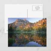 UTAH. VS. Mt Magog, gereflecteerd in witte pine Briefkaart (Voorkant / Achterkant)