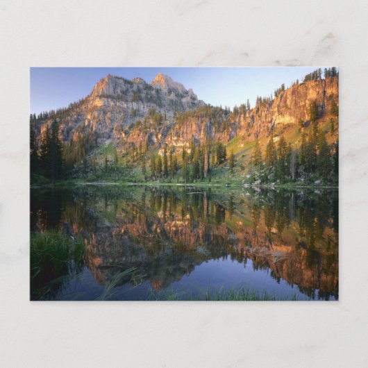 UTAH. VS. Mt Magog, gereflecteerd in witte pine Briefkaart (Voorkant)