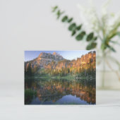 UTAH. VS. Mt Magog, gereflecteerd in witte pine Briefkaart (Staand voorkant)