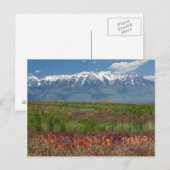 Utah, VS. Mt. Timpanogos rijst boven Briefkaart (Voorkant / Achterkant)
