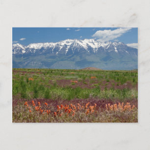 Utah, VS. Mt. Timpanogos rijst boven Briefkaart