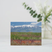 Utah, VS. Mt. Timpanogos rijst boven Briefkaart (Staand voorkant)