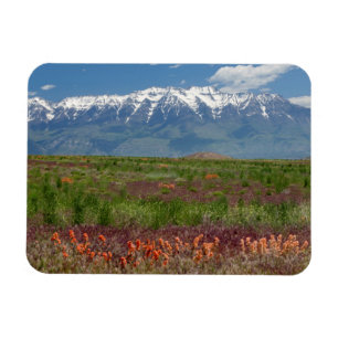 Utah, VS. Mt. Timpanogos rijst boven Magneet