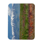 Utah, VS. Mt. Timpanogos rijst boven Magneet (Verticaal)