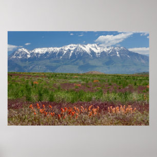 Utah, VS. Mt. Timpanogos rijst boven Poster