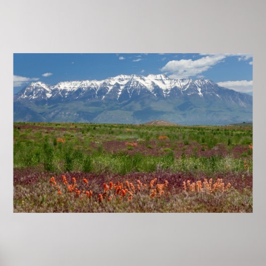 Utah, VS. Mt. Timpanogos rijst boven Poster (Voorkant)