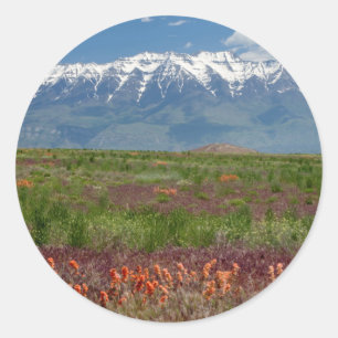 Utah, VS. Mt. Timpanogos rijst boven Ronde Sticker