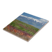 Utah, VS. Mt. Timpanogos rijst boven Tegeltje (Zijkant)
