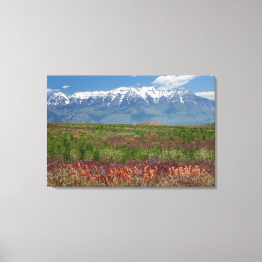 Utah, VS. Mt. Timpanogos rijst erboven Canvas Afdruk (Voorkant)