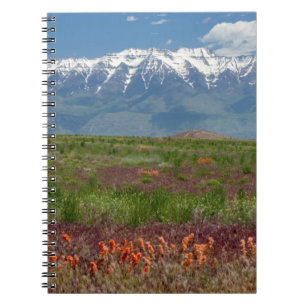 Utah, VS. Mt. Timpanogos rijst erboven Notitieboek