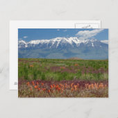 Utah, VS. Mt. Timpanogos Rises Above Briefkaart (Voorkant / Achterkant)