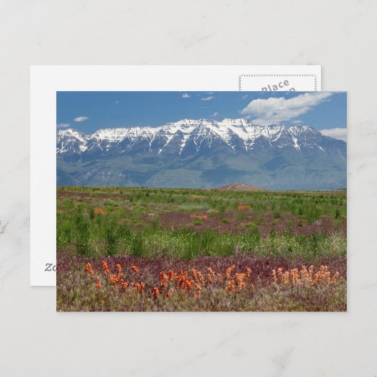 Utah, VS. Mt. Timpanogos Rises Above Briefkaart (Voorkant / Achterkant)