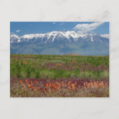 Utah, VS. Mt. Timpanogos Rises Above Briefkaart (Voorkant)