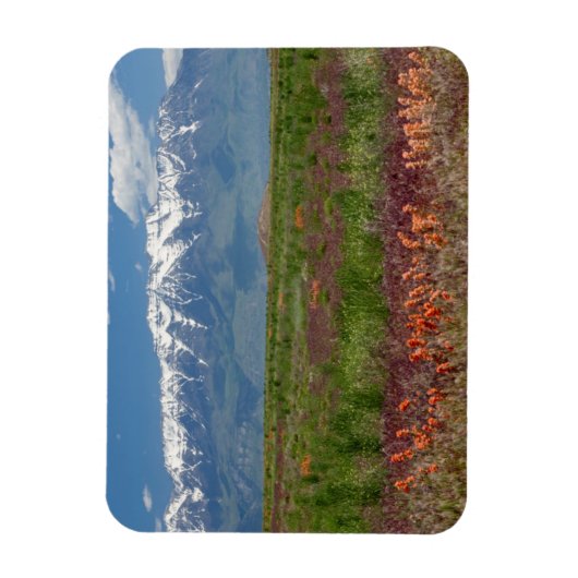 Utah, VS. Mt. Timpanogos Rises Above Magneet (Verticaal)