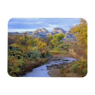 UTAH. VS. Pleasant Creek in de herfst bij zonsopga Magneet