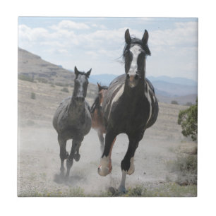Utah Wild Horses die lopen Tegeltje