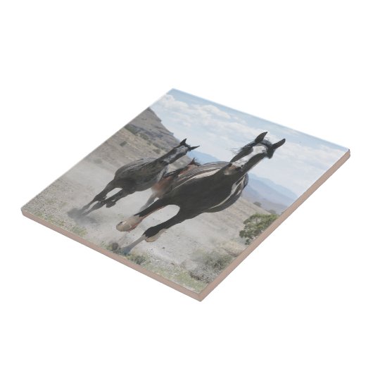 Utah Wild Horses die lopen Tegeltje (Zijkant)