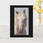 UTAH WILD HORST HET ALBINO vouwde Wenskaart Kaart (Gele Bloem)