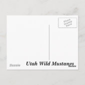 Utah Wild Mustangs Briefkaart (Achterkant)