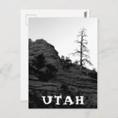 UTAH Zion National Park Lone Tree White Briefkaart (Voorkant / Achterkant)