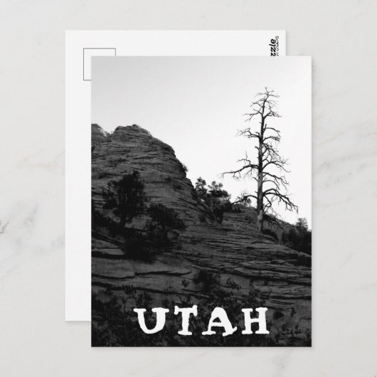 UTAH Zion National Park Lone Tree White Briefkaart (Voorkant / Achterkant)