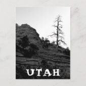 UTAH Zion National Park Lone Tree White Briefkaart (Voorkant)
