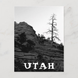 UTAH Zion National Park Lone Tree White Briefkaart