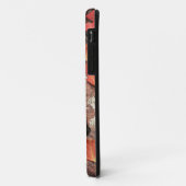 Utah, Zion National Park, patronen van herfst Case-Mate iPhone Case (Achterkant/links)