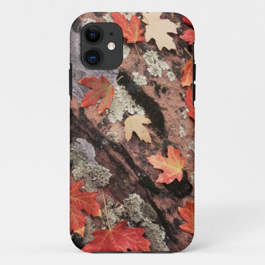 Utah, Zion National Park, patronen van herfst Case-Mate iPhone Case (Achterkant)