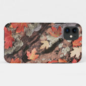 Utah, Zion National Park, patronen van herfst Case-Mate iPhone Case (Achterkant (horizontaal))