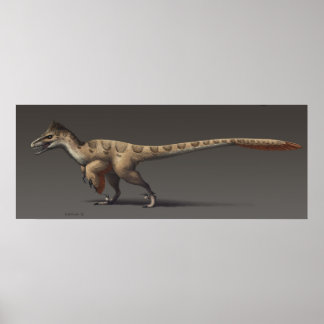 Utahraptor Poster