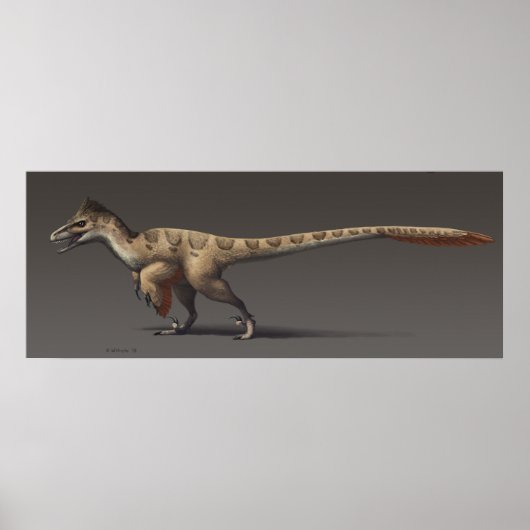 Utahraptor Poster (Voorkant)