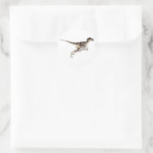 Utahraptor Ronde Sticker (Tas)