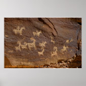 Ute Petroglyphs Poster (Voorkant)