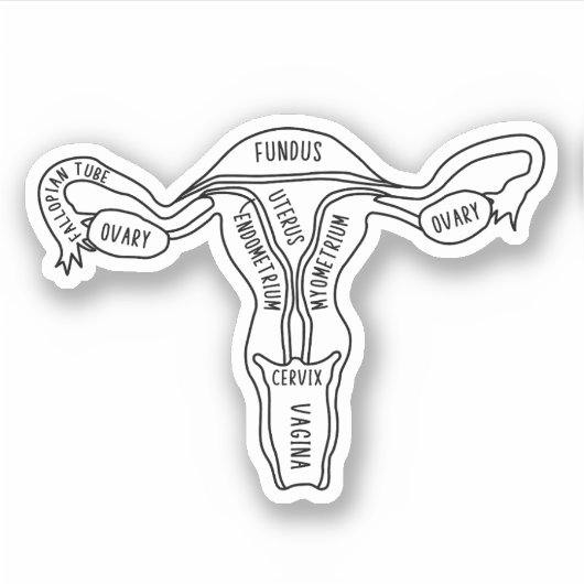 Uterus Anatomie, Feminist, Gynaecoloog, Verloskund Sticker (Voorkant)